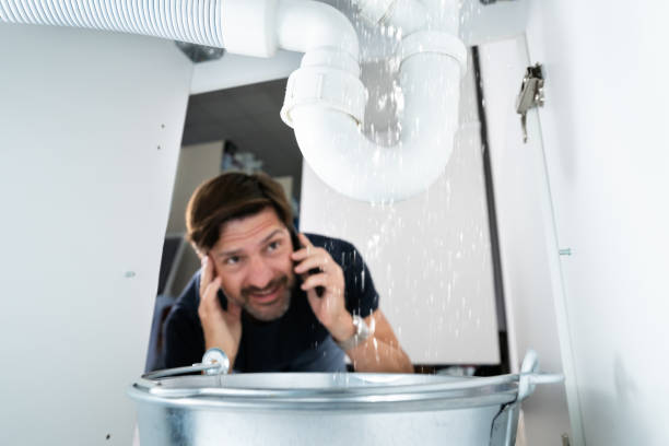 Best Sewer Line Replacement  in Vassar, MI