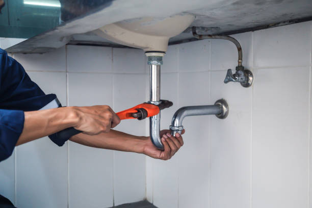 Best Affordable Plumber Near Me  in Vassar, MI