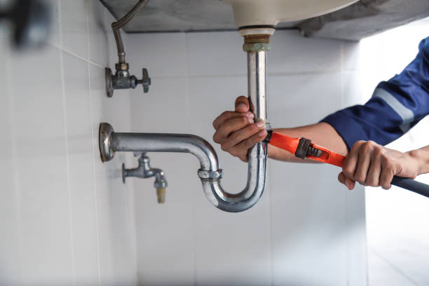 Best Local Plumber Services  in Vassar, MI
